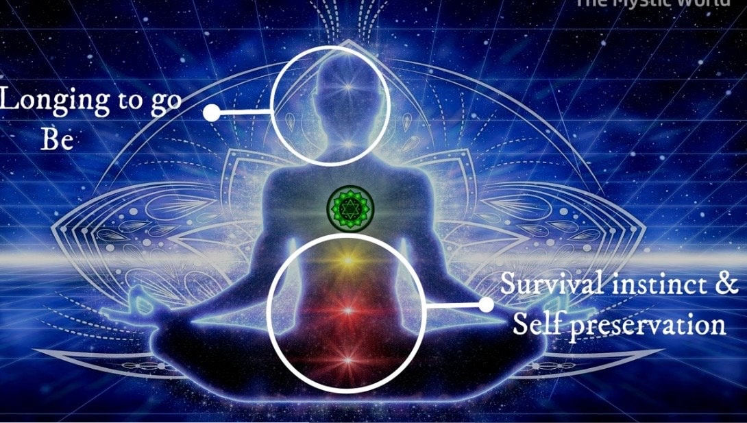 Chakra Divination and Guidance for Balancing, Energy Alignment, Transformation